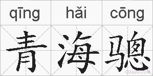 青海骢的拼音