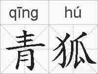 青狐的拼音