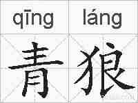 青狼的拼音
