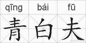 青白夫的拼音