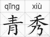 青秀的拼音