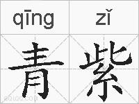 青紫的拼音