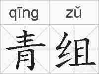 青组的拼音