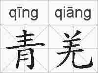 青羌的拼音