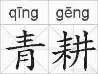 青耕的拼音