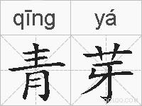 青芽的拼音