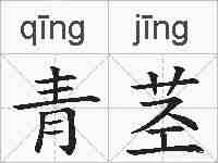 青茎的拼音