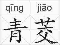 青茭的拼音