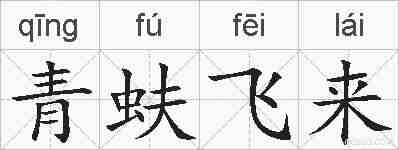 青蚨飞来的拼音