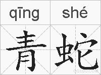 青蛇的拼音