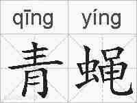 青蝇的拼音