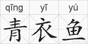 青衣鱼的拼音
