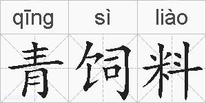 青饲料的拼音