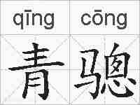 青骢的拼音