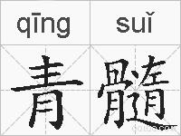 青髓的拼音
