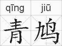 青鸠的拼音