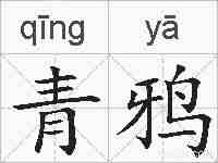 青鸦的拼音