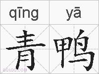 青鸭的拼音