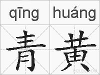 青黄的拼音