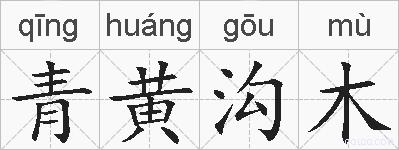 青黄沟木的拼音