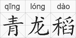 青龙稻的拼音