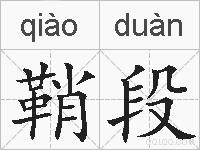 鞘段的拼音
