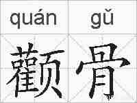 颧骨的拼音