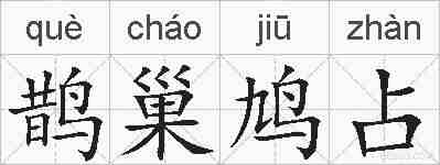 鹊巢鸠占的拼音
