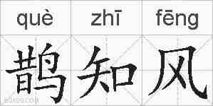 鹊知风的拼音