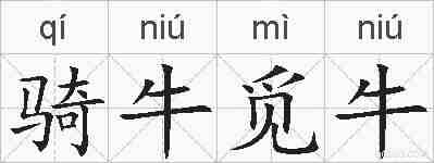 骑牛觅牛的拼音