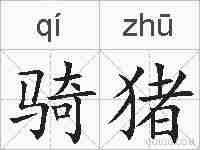 骑猪的拼音