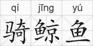 骑鲸鱼的拼音