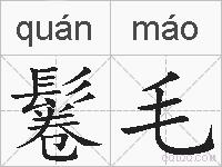 鬈毛的拼音