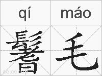 鬐毛的拼音