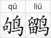 鸲鹠的拼音