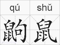 鼩鼠的拼音