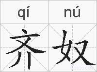齐奴的拼音