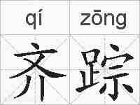 齐踪的拼音