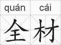 全材的拼音