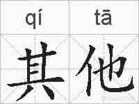 其他的拼音