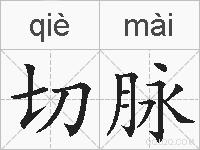 切脉的拼音