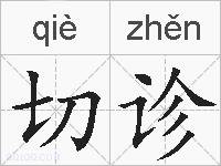 切诊的拼音