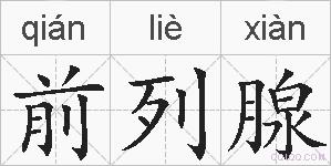 前列腺的拼音