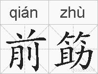 前筯的拼音