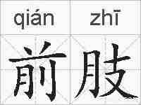 前肢的拼音
