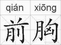 前胸的拼音