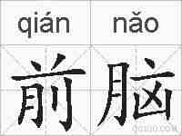 前脑的拼音
