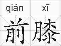 前膝的拼音