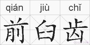 前臼齿的拼音
