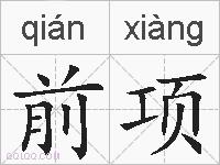 前项的拼音
